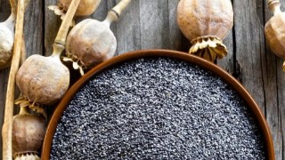 TMO, mavi renkli haşhaş tohumunun satışına devam ediyor