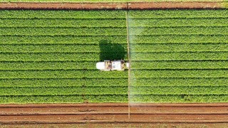 TÜİK: Türkiye’de bitkisel üretim 2025’te geriledi