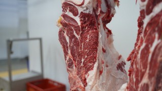 ABD Gümrüğü: Brezilya 2026 sığır eti kotasını doldurdu