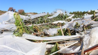 Antalya Büyükşehir Belediyesi Manavgat’ta hortum hasarını inceledi
