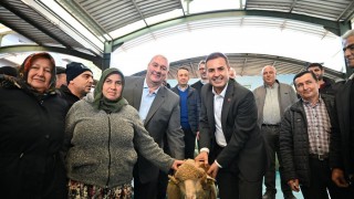 Balıkesir Büyükşehir, Bigadiç’te damızlık koç dağıtımı yaptı