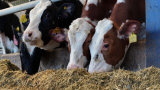 Fimaks, Türkiye’de Yem Otomasyon Merkezi’ni devreye aldı