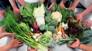 Gıda Toplulukları, Türetici Modeliyle Yaygınlaşıyor