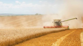 İKAR: Rusya’nın 2025–2026 Buğday İhracatı 46,5 Milyon Ton