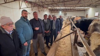 Ömer Fethi Gürer: Haymana’da hayvancılık sürdürülemez noktada