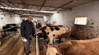 Ömer Fethi Gürer: Şap hastalığı Niğde’de süt ve buzağı kaybını artırdı