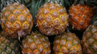 Rosselhoznadzor: İthal tarım ürünlerinde üç zararlı tespit edildi