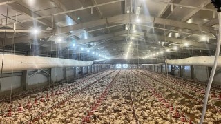 Samsun İl Tarım: KKYDP ile 71 yatırımcıya 33,6 milyon TL hibe