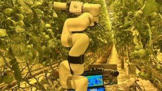 Stavropol Tarım Üniversitesi seralar için robotik teşhis sistemi tanıttı
