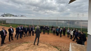 TBB Tarım ve Gıda Komisyonu Antalya’da saha incelemesi yaptı