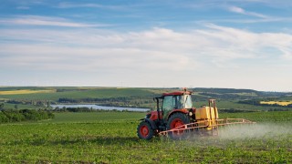 ABD, Glifosat ve Fosfor Üretimini Savunma Kapsamına Aldı