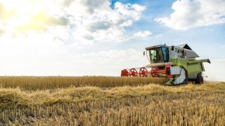 ABD’de kuraklık buğday fiyatlarını yukarı çekti