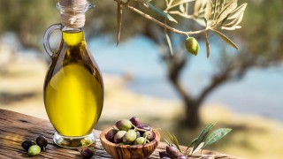 Antalya Zeytinyağı Çalıştayı 11 Şubat’ta Akademisyenleri Buluşturacak