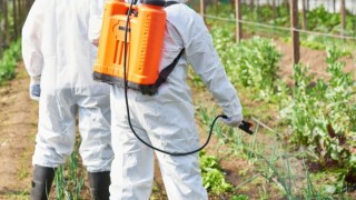 Araştırma: Latin Amerika pestisitlerinin %50’si AB’de yasak