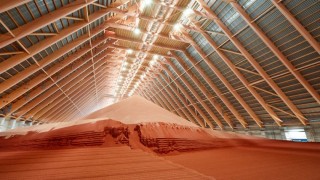 Brezilya Büyükelçisi: Belarus’tan potas gübresi alımı artacak