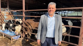 CHP’li Ayhan Barut: Et ithalatı krizi büyütüyor