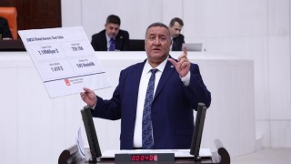 CHP’li Gürer: 2025’te 739 Bin Baş Hayvan İthal Edildi