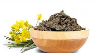 Çin, Kanada Kanola Ürünlerinde Bazı Vergileri Askıya Aldı