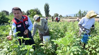 Denizli İl Tarım: 2025’te bitkisel üretime 1,15 milyar TL
