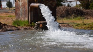 Dicle Elektrik: Şanlıurfa’da 2025’te elektriğin yarısı kaçak