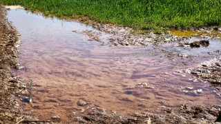 Dicle Elektrik: Şanlıurfa’da tarımsal sulamada kaçak alarmı