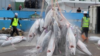 Güney Kore Okyanus ve Balıkçılık Bakanlığı, 2030’a Kadar Deniz Ürünlerinde 4 Milyon Ton Hedefi Koydu