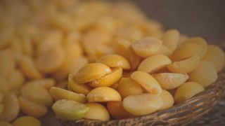 IGC: 2025/26’da Kuru Bezelye Üretimi Yüzde 20 Artacak