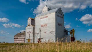 Kanada Tahıl Konseyi: AB kuralları tahıl ihracatını riske atıyor