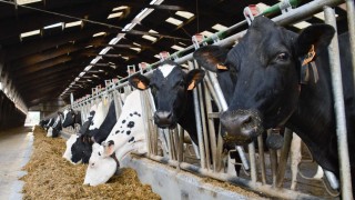 Kars Veteriner Hekimleri Odası Gezici Hayvan Sağlığı Projesine Katıldı