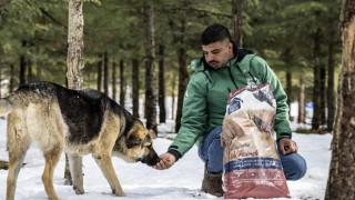 Mersin Büyükşehir, Tarsus Karboğazı’nda yılkı atlarını besledi