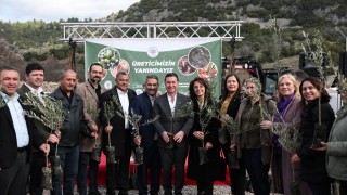 Muğla Büyükşehir Menteşe’de 49 bin meyve fidanı dağıttı