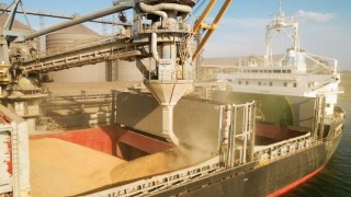 Polonya buğday ihracatı AB dışına sezonda yüzde 53 arttı