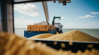Rusya’nın Tahıl İhracatı 2025/26 Sezonunda Yüzde 16 Düştü