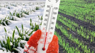 Ukrayna Meteoroloji Merkezi: Şubat Donları Tohum Ekimini Geciktirebilir