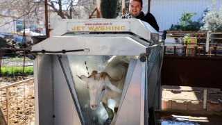 Antalya BŞB’den Yeniköy’de Çiftçilere Parazit Desteği