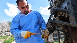 Antalya’da çiftçilere ücretsiz tırnak bakım desteği