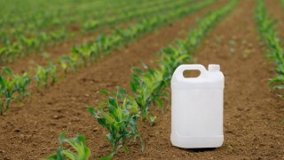 Avrupa’da gübre fiyatları ekim planlarını etkiledi