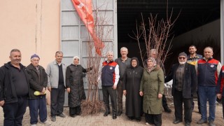 Çankırı’da 150 çiftçiye 1500 kayısı fidanı dağıtıldı