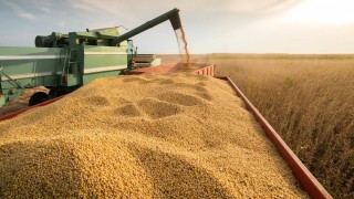 Cargill Brezilya’dan Çin’e soya ihracatını geçici olarak durdurdu