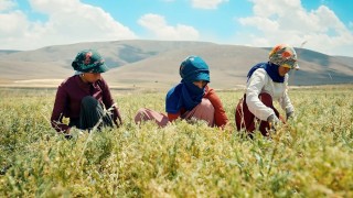 Migros’un Kayseri’deki Mercimek Projesi CGF Tarafından Örnek Gösterildi