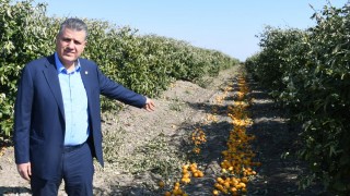 CHP’li Ayhan Barut: Limonda İthalat Kararı İptal Edilmeli