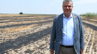 CHP’li Barut: Tarımda kriz ve dışa bağımlılık acilen çözülmeli