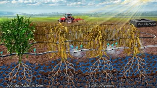 Çin ve İngiltere Ortak Araştırması Toprakta Suyun Hareketini İnceledi