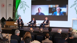 EZZİB: Zeytinyağı ihracatı için AB kotası talebi