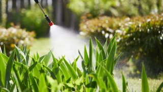 FAO küresel pestisit kullanımını açıkladı