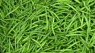 Fas, 2025’te İrlanda’nın Başlıca Taze Fasulye Tedarikçisi Oldu