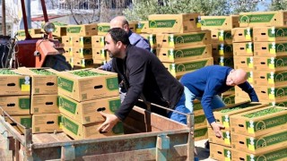 Gördes’te üreticilere 73 bin fide desteği sağlandı