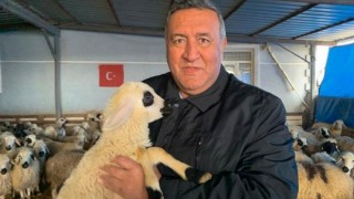 Gürer: Et İthalatı Ne Üreticiyi Ne Tüketiciyi Rahatlattı