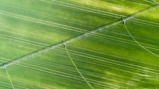 Gürer: Her gün yaklaşık 200 tarla icradan satışta