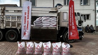 Hüyük’te Yüzde 50 Hibeli Nohut Tohumu Başvuruları Açıldı